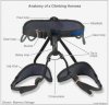 Anatomy of a climbing harness.jpg